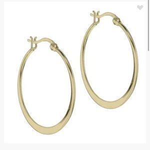 Argento Vivo Flat Hoop Earrings